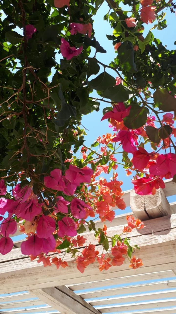 Blue Marine Apartment Pozzallo Εξωτερικό φωτογραφία