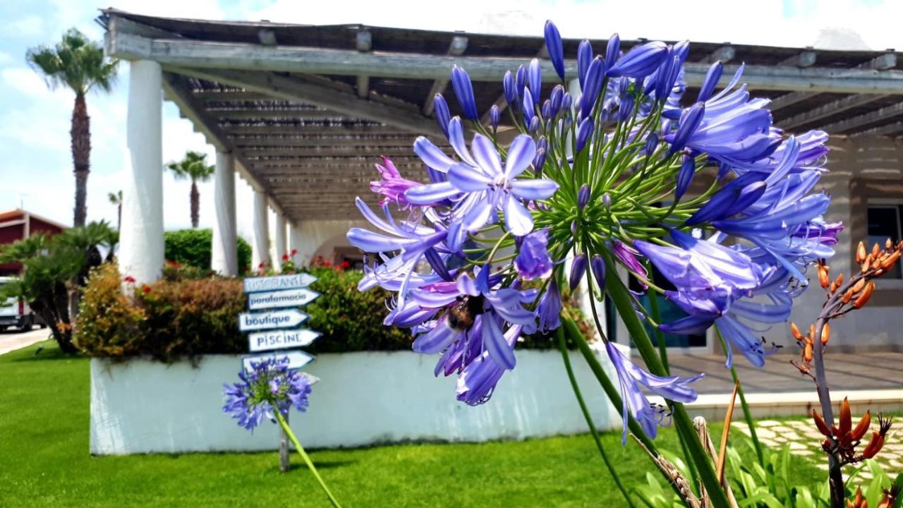 Blue Marine Apartment Pozzallo Εξωτερικό φωτογραφία