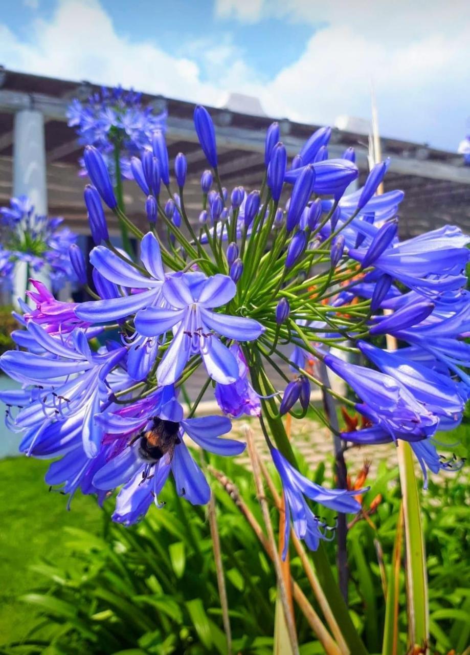 Blue Marine Apartment Pozzallo Εξωτερικό φωτογραφία